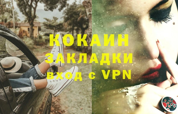 Альфа ПВП Верея