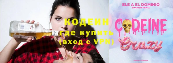 дживик Верхний Тагил