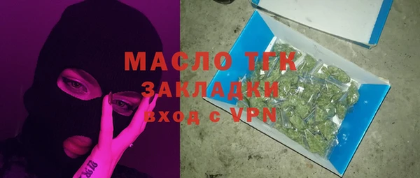дживик Верхний Тагил