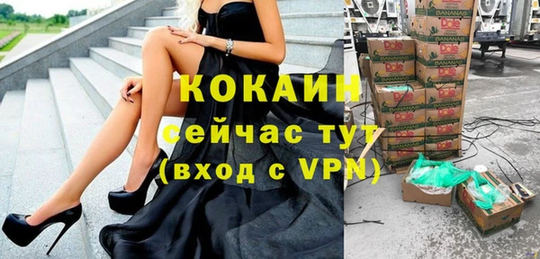 дживик Верхний Тагил