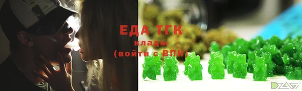 дживик Верхний Тагил