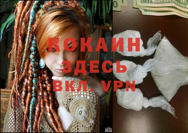 Альфа ПВП Верея