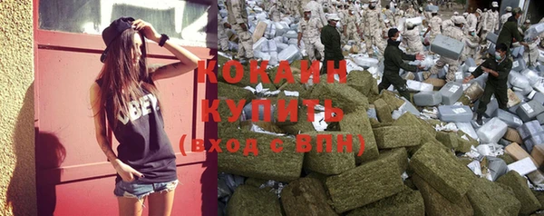 дживик Верхний Тагил