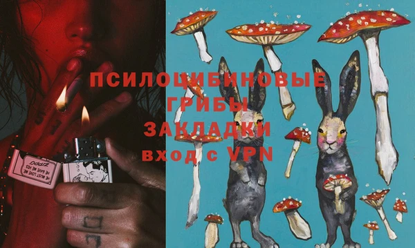 Альфа ПВП Верея