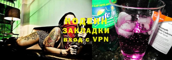 дживик Верхний Тагил