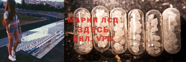 Альфа ПВП Верея