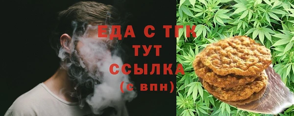 дживик Верхний Тагил