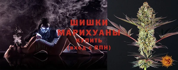 Альфа ПВП Верея
