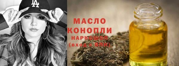 дживик Верхний Тагил