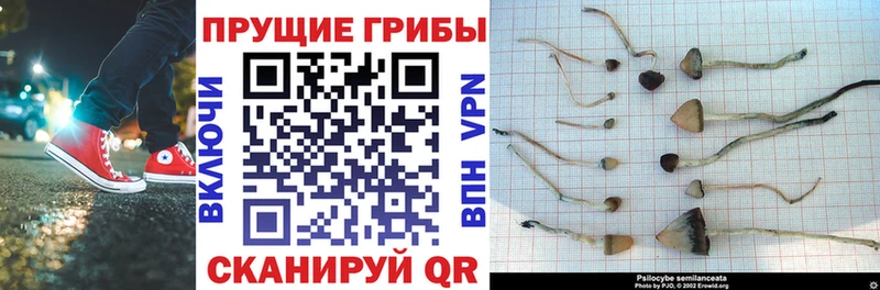 Галлюциногенные грибы Magic Shrooms  Сыктывкар 